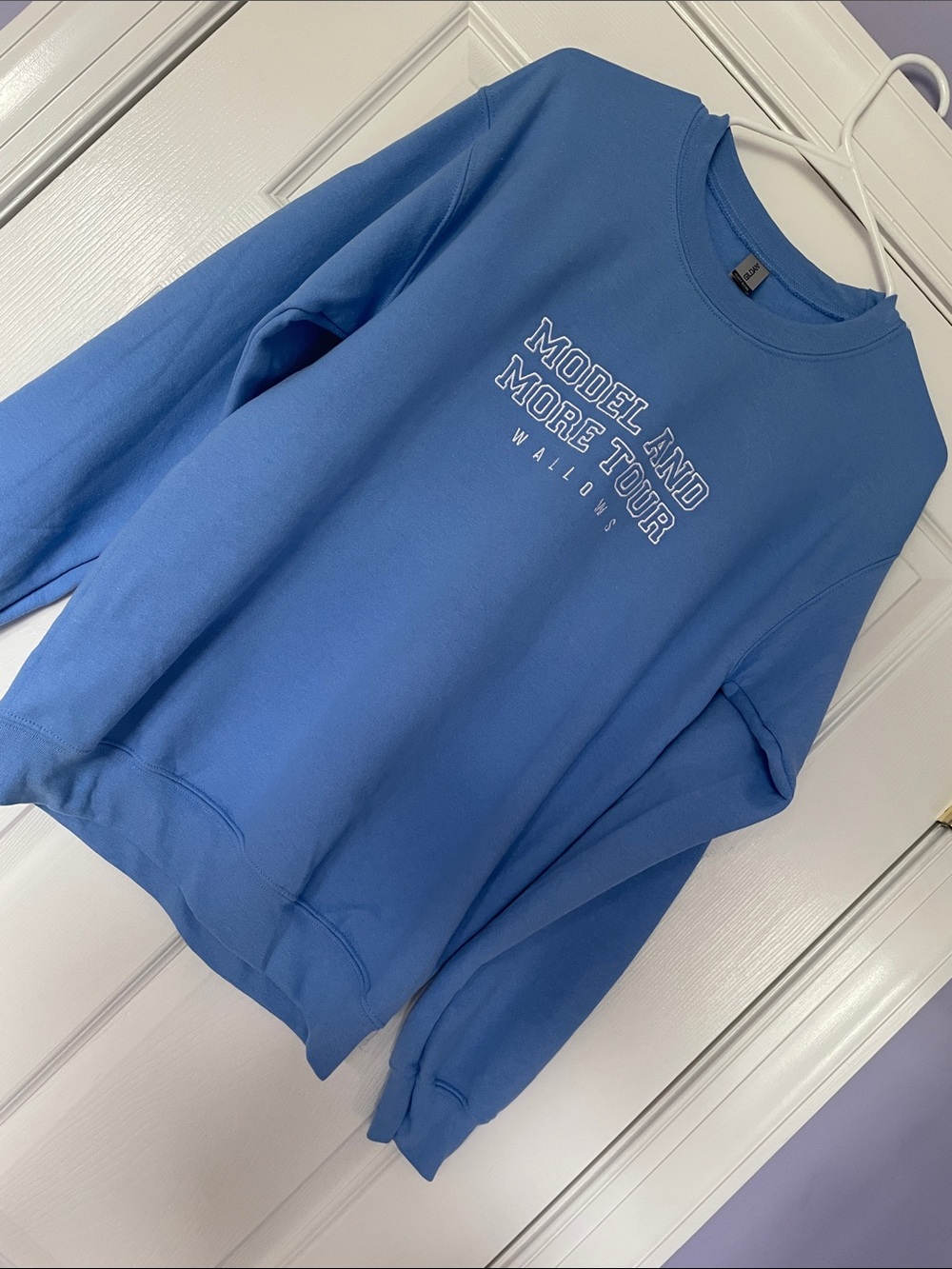 Wallows Model and More Tour Crew Sweatshirt